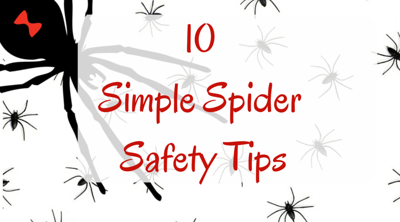 Spider Safety
